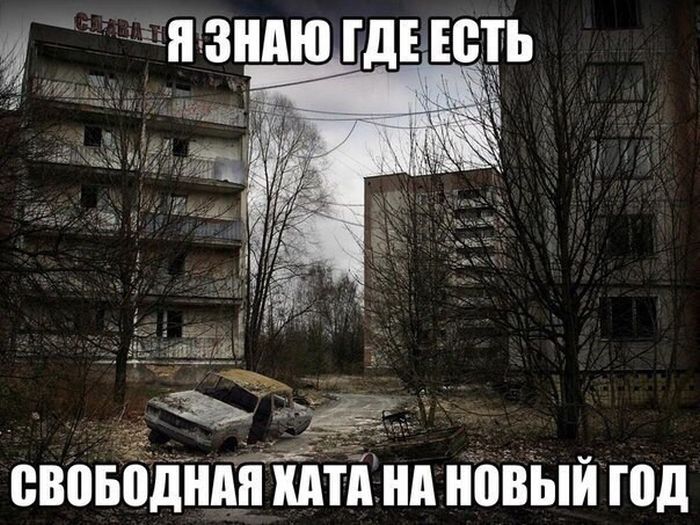 Порция картинок
