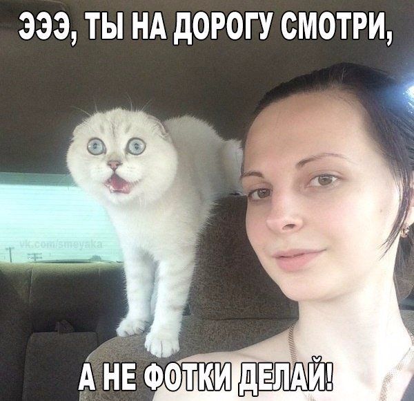 Прикольные картинки