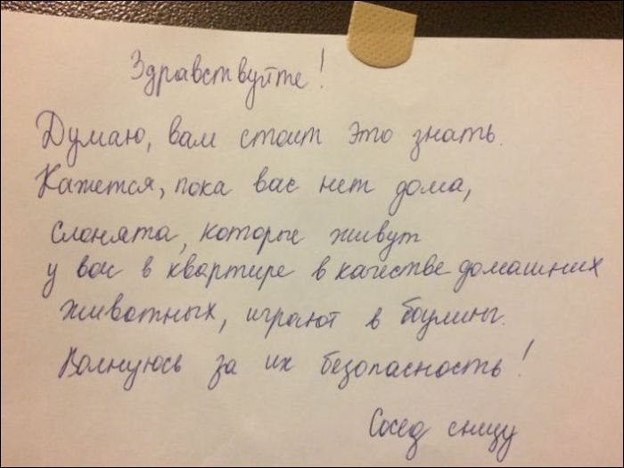 Забавные надписи и объявления