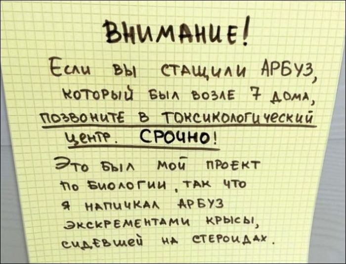 Забавные надписи и объявления