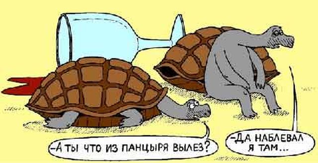Пьяный юмор