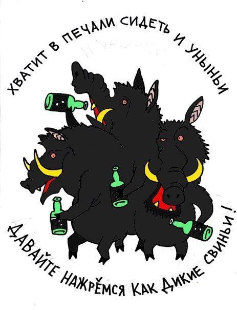 Пьяный юмор
