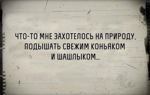 Пьяный юмор