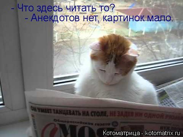 Лучшие котоматрицы недели