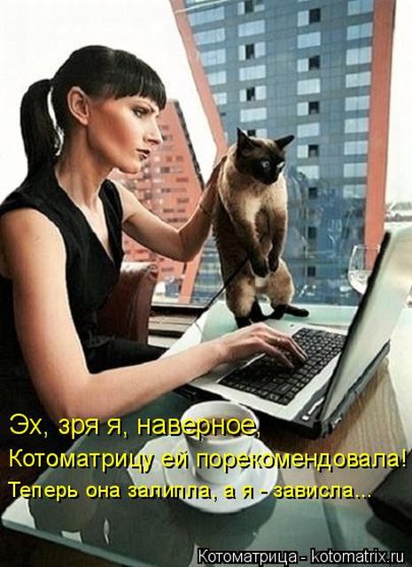 Лучшие котоматрицы недели