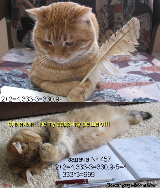 Лучшие котоматрицы недели