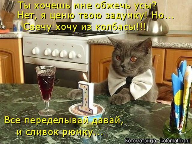 Лучшие котоматрицы недели