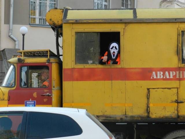 Прикольные картинки