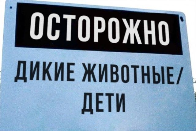 Смешные объявления
