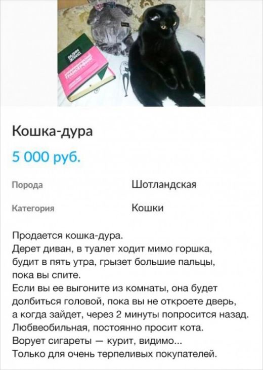 Смешные объявления