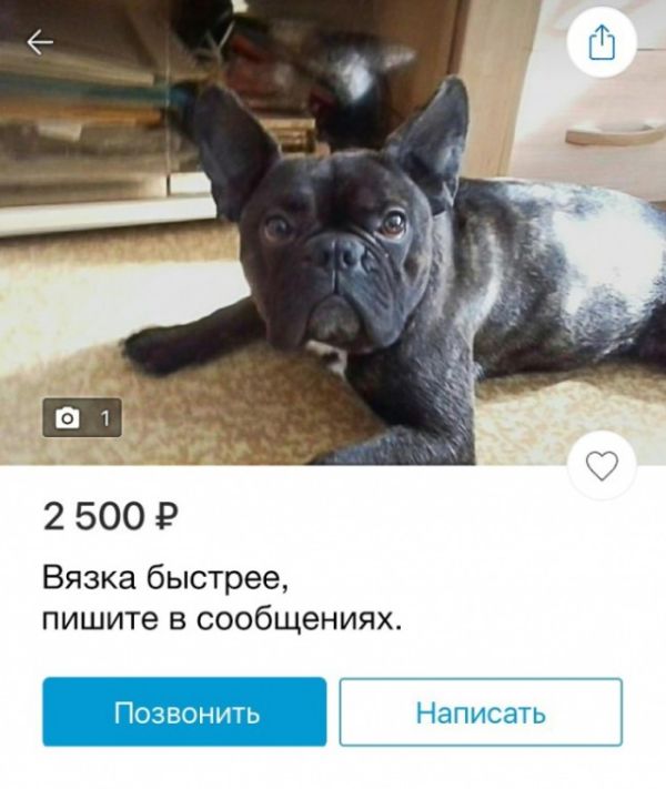 Смешные объявления