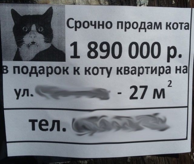 Смешные объявления