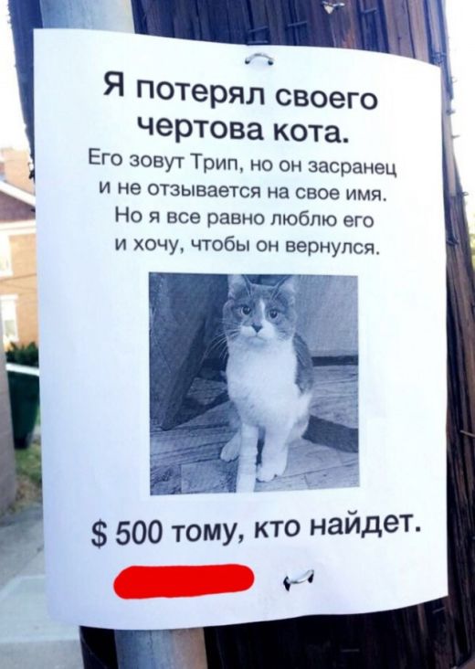 Смешные объявления