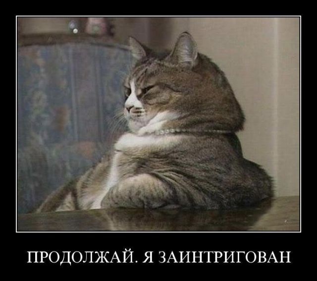 Демотиваторы