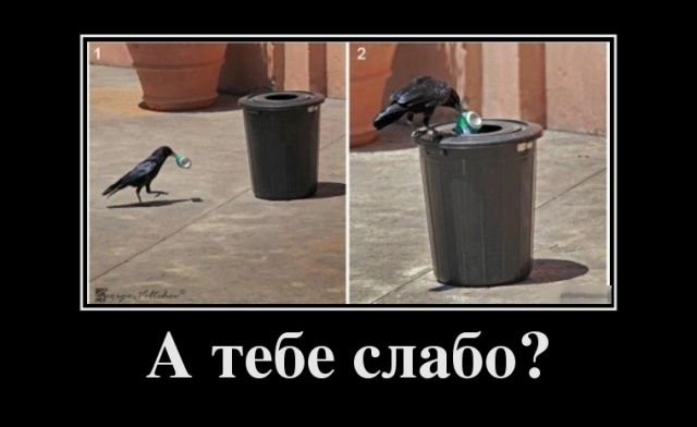 Демотиваторы