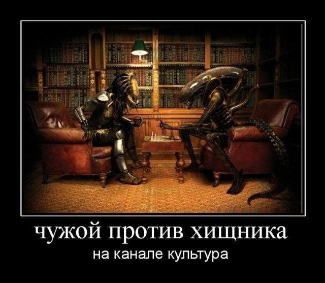 Демотиваторы