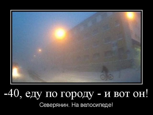 Демотиваторы