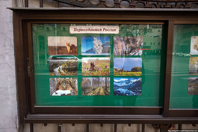 Прогулка по Шанхаю Прогулка по Шанхаю