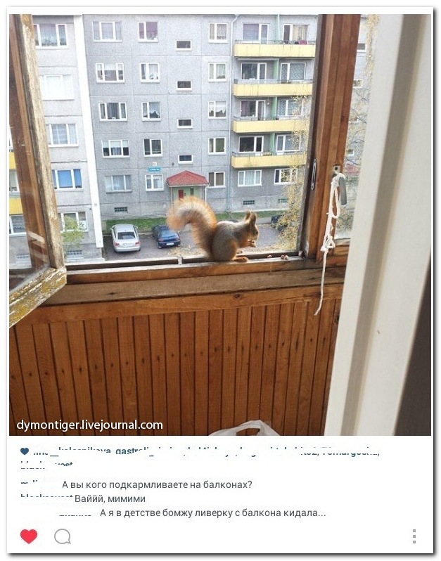 Смешные комментрии из социальных сетей