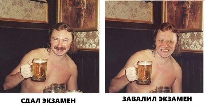 Порция картинок
