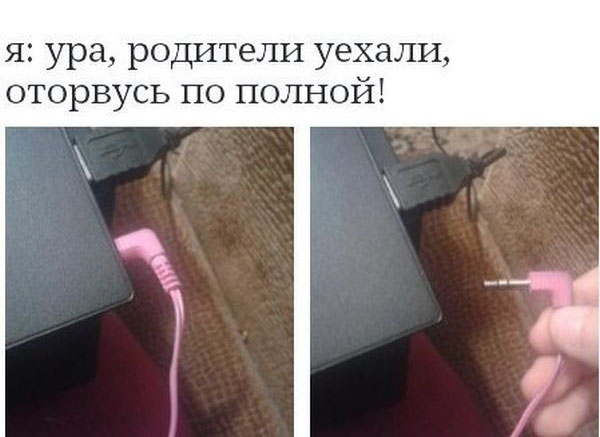 Порция картинок