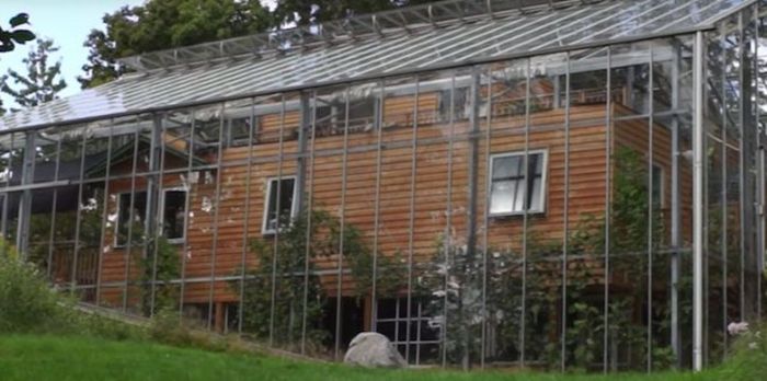 Шведская пара построила большую теплицу поверх дома