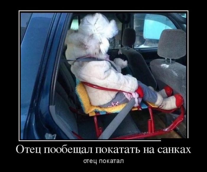 Демотиваторы