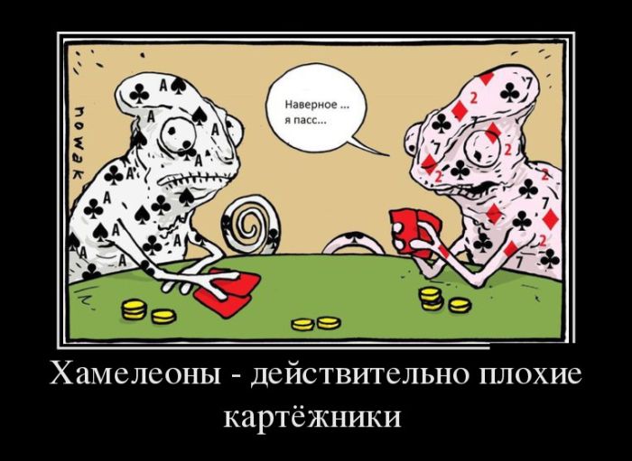 Демотиваторы