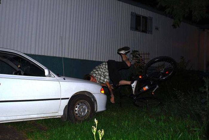 Прикольные картинки