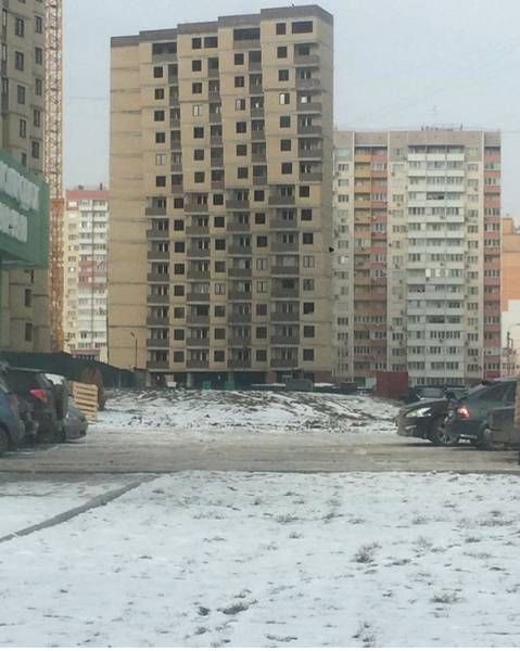 Прикольные картинки