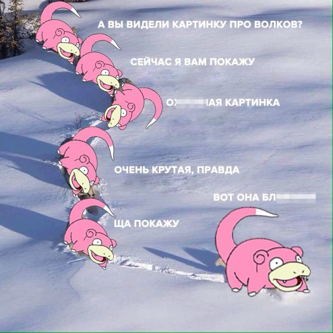 «Шерстяной волчара» - новый мем Рунета
