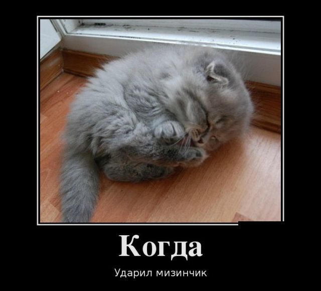 Демотиваторы
