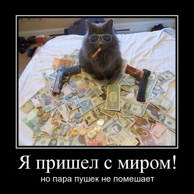 Демотиваторы