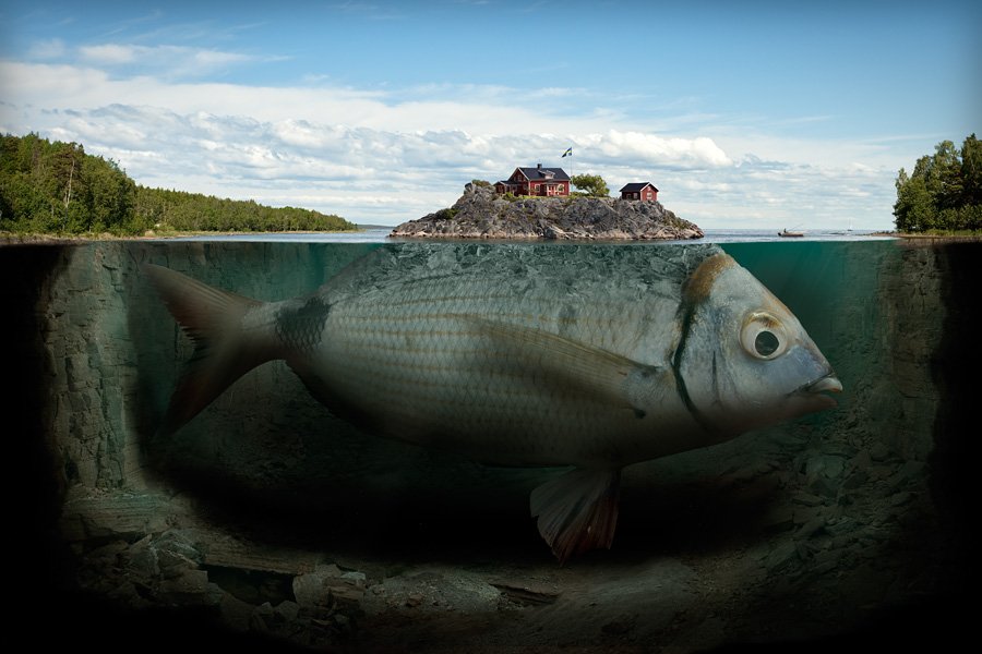 Мир иллюзий