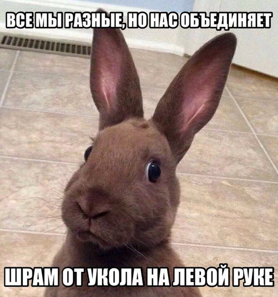 Порция картинок