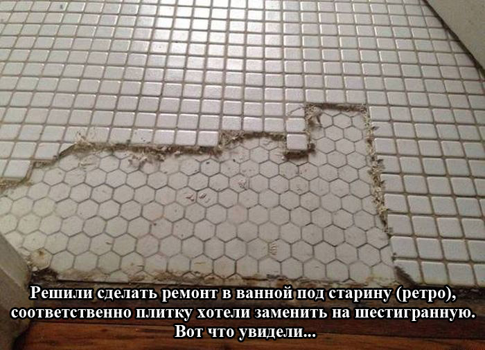 Порция картинок