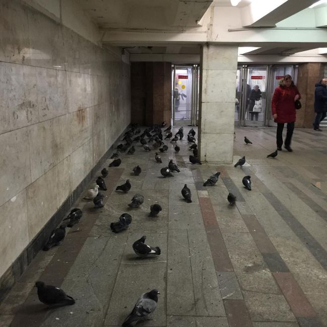 Сильный снегопад частично парализовал движение в Москве