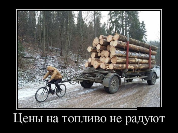 Демотиваторы Демотиваторы