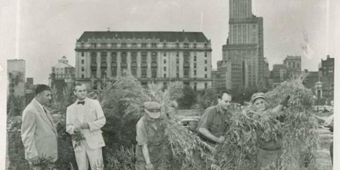 Подборка редких фотографий со всего мира