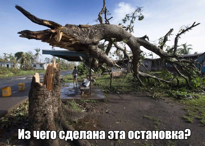 Прикольные картинки Прикольные картинки