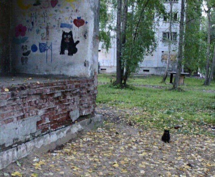 Прикольные картинки