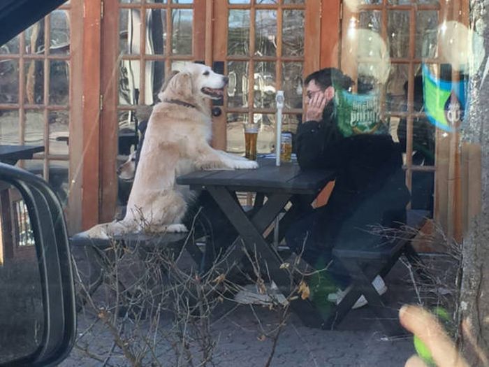 Прикольные картинки