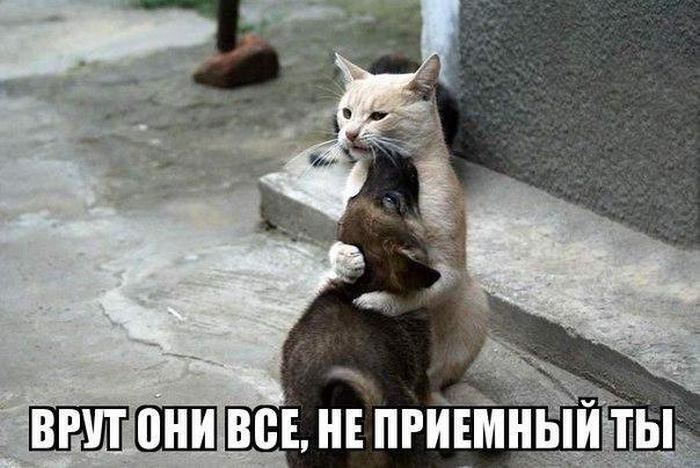 Прикольные картинки