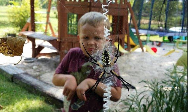 Животные в зоопарках троллят туристов