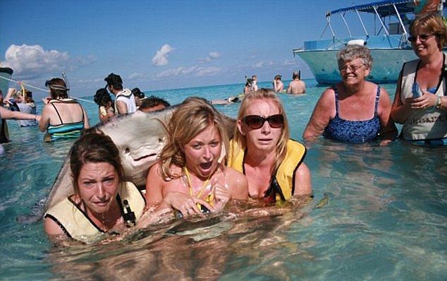 Животные в зоопарках троллят туристов