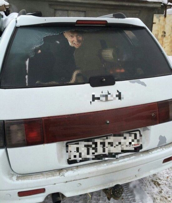 Прикольные картинки