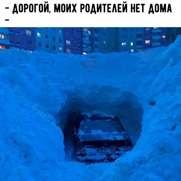 Прикольные картинки