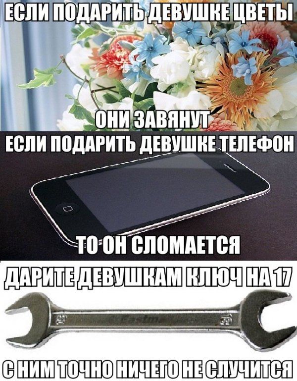 Прикольные картинки