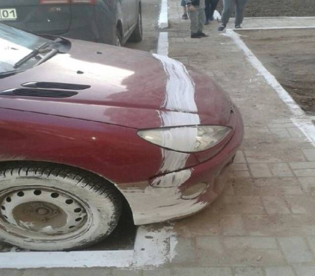 Прикольные картинки