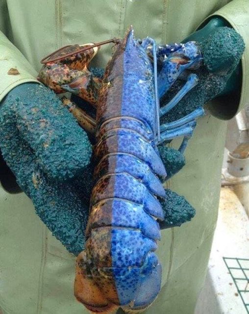 Уму непостижимо, но наукой объяснимо